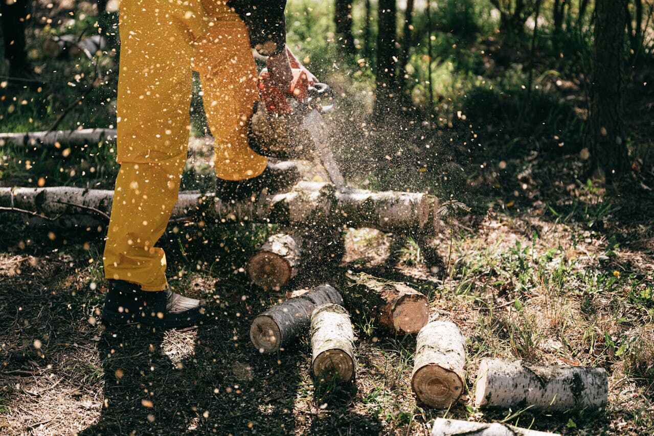 Best Tree Branch Trimming  in Chelsea, MI